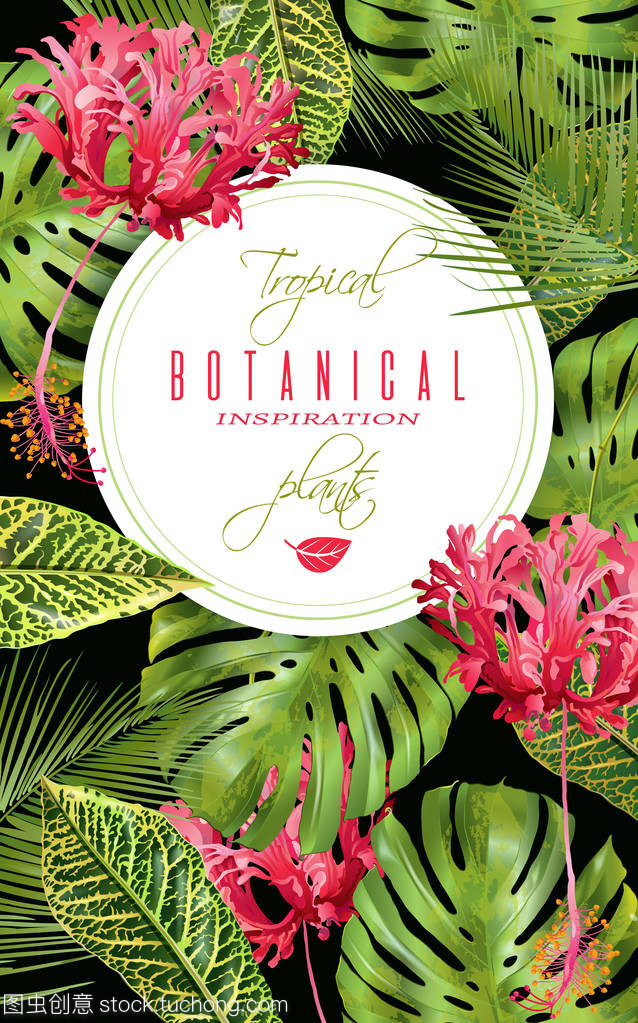 熱帶花卉垂直橫幅 自然藝術與空間美學的融合